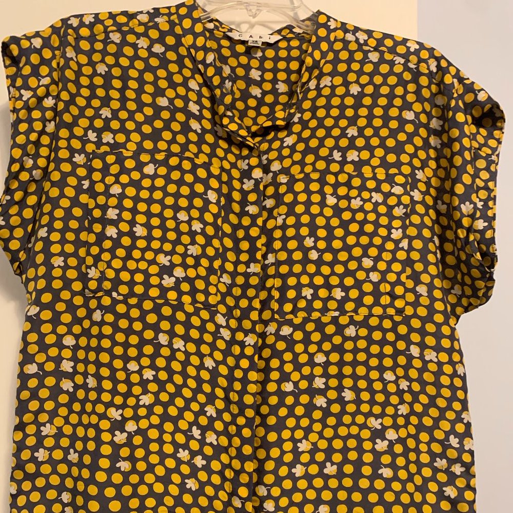 Cabi Silk top